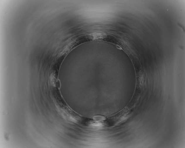 X0000102230316200808011231