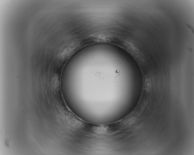 X0000102230318200808011231