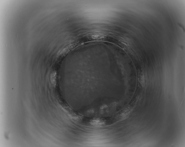 X0000102230319200808011231