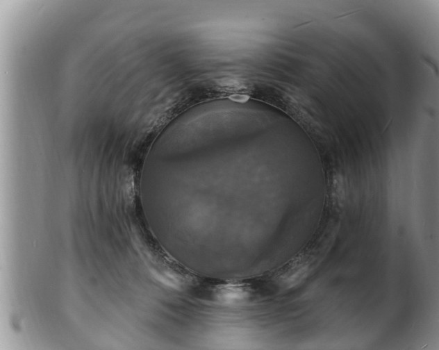 X0000102230320200808011231