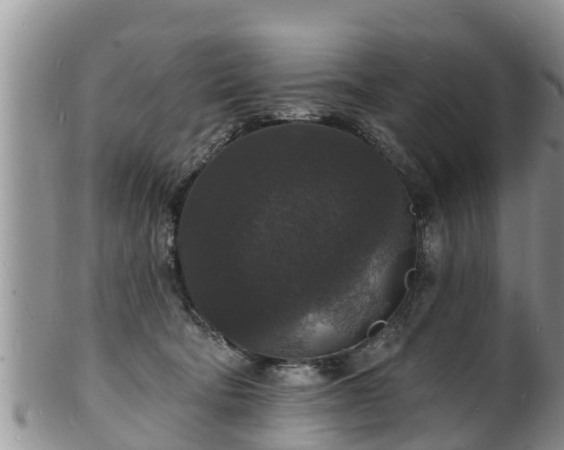 X0000102230322200808011231