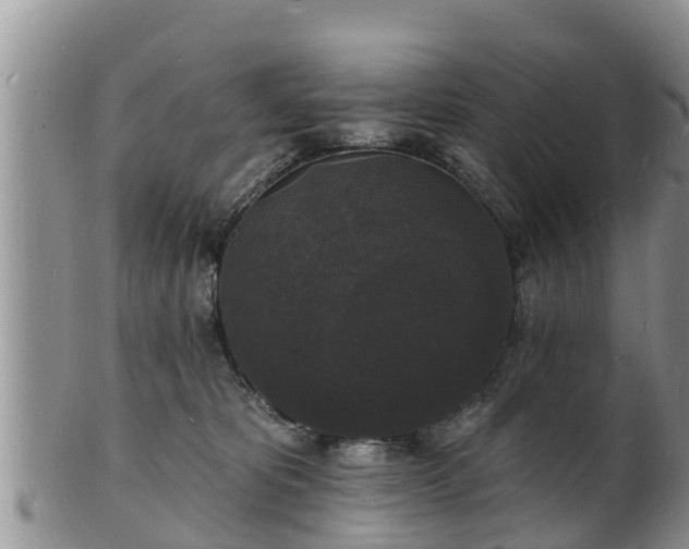 X0000102230325200808011231