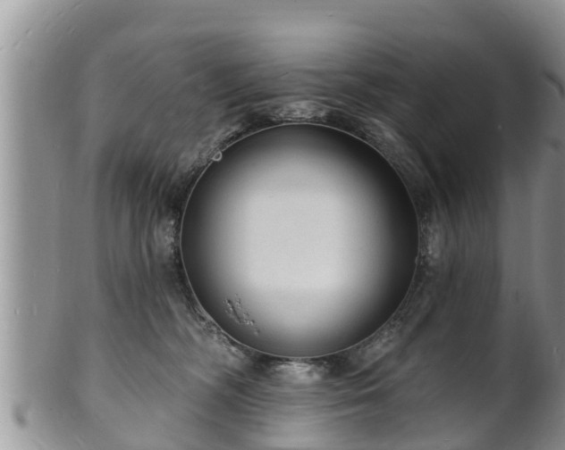 X0000102230326200808011231