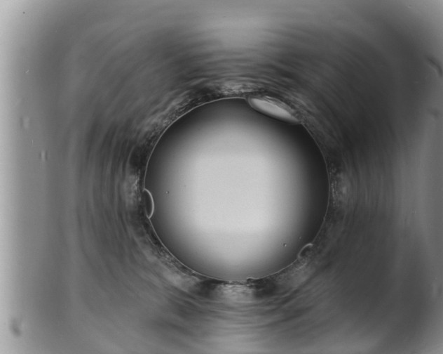 X0000102230327200808011231
