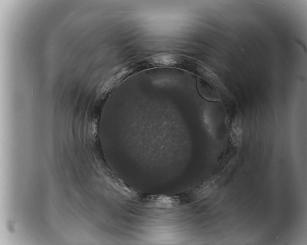 X0000102230330200808011231