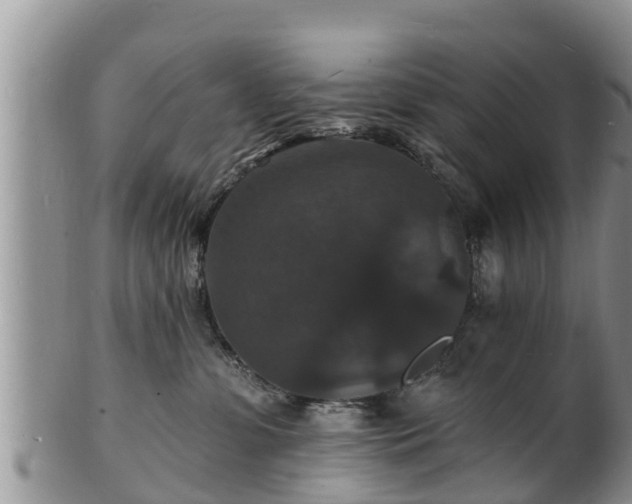 X0000102230331200808011231