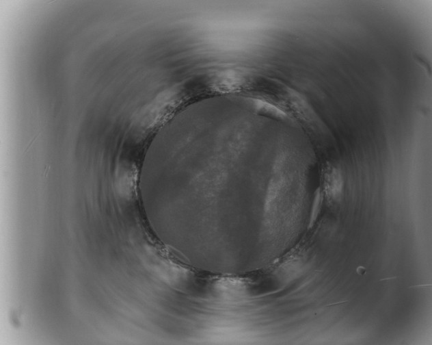 X0000102230332200808011231