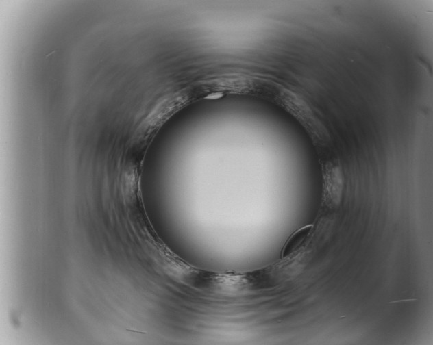 X0000102230333200808011231