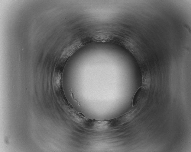 X0000102230334200808011231