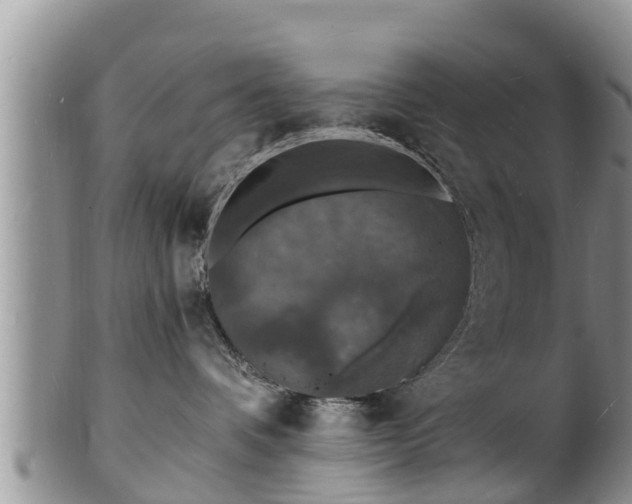 X0000102230336200808011231