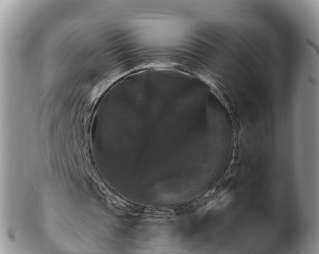 X0000102230337200808011230