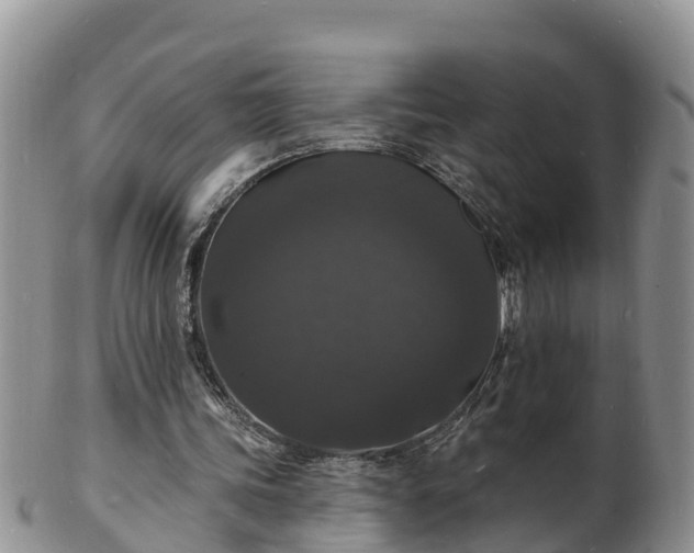 X0000102230339200808011230
