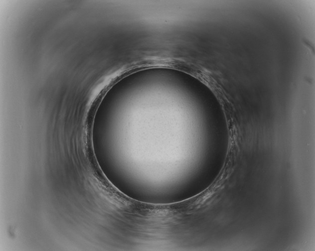X0000102230342200808011230