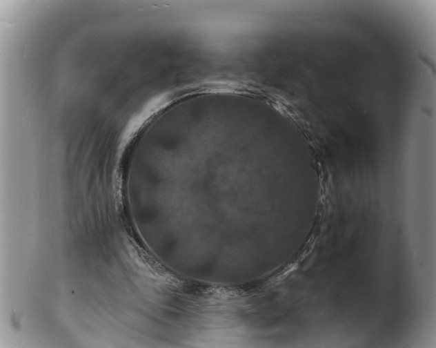X0000102230343200808011230