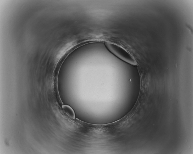 X0000102230344200808011230