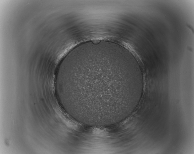 X0000102230346200808011230