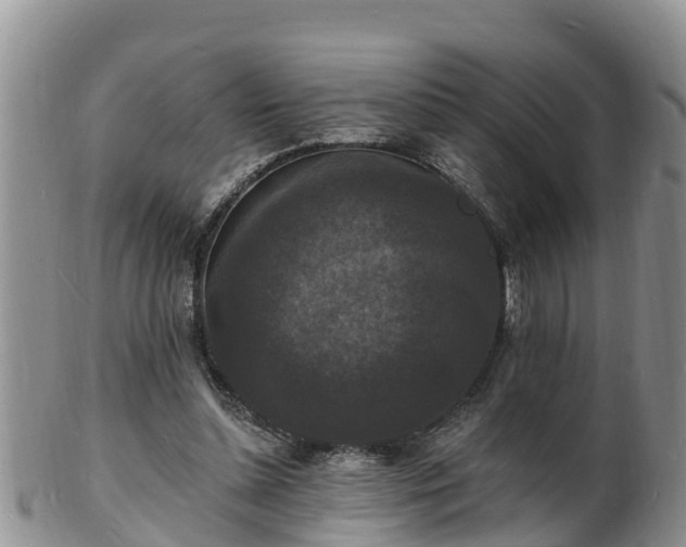 X0000102230348200808011230