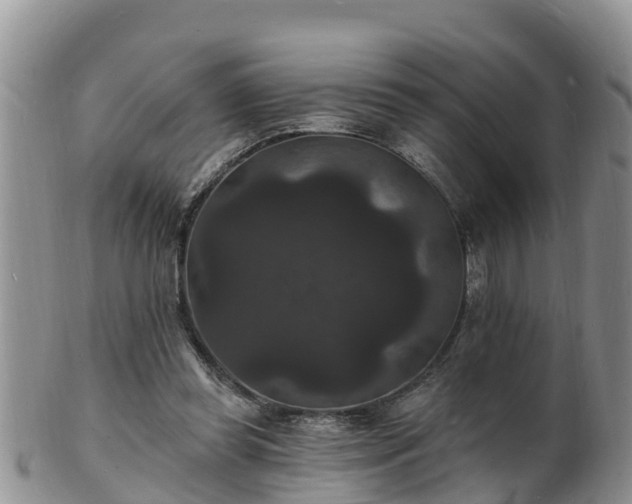 X0000102230349200808011230