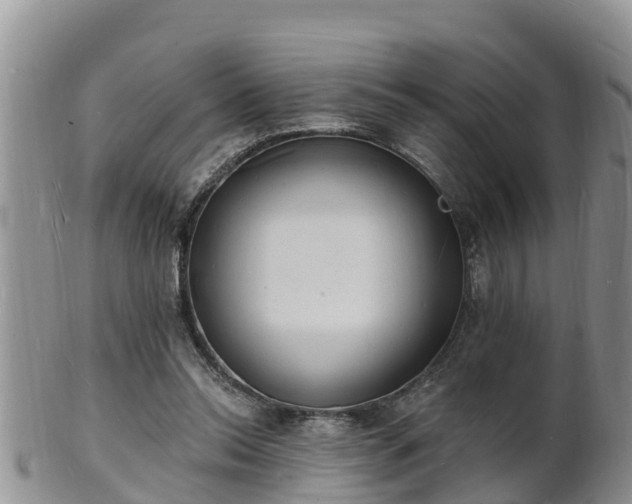 X0000102230350200808011230