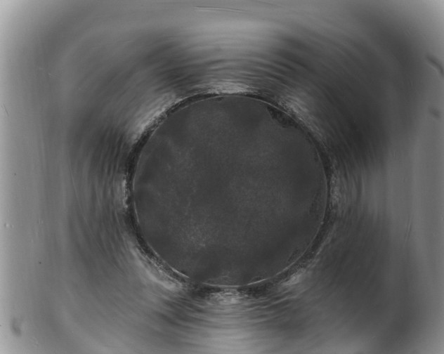 X0000102230351200808011230