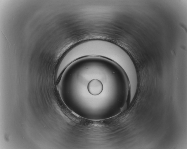 X0000102230352200808011230