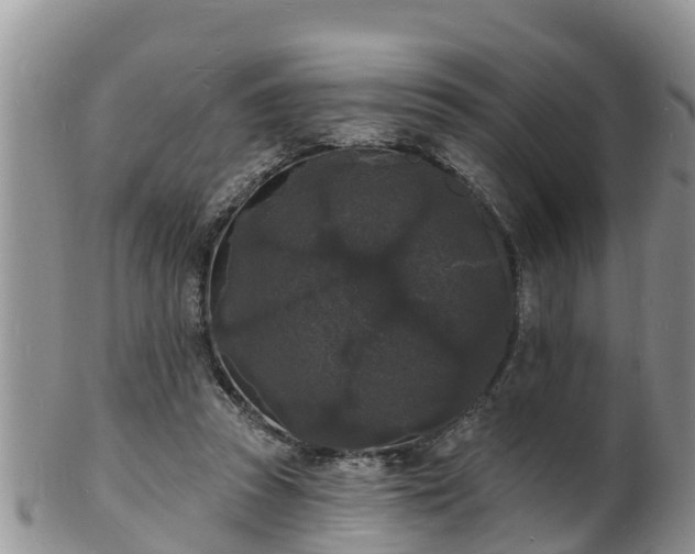 X0000102230353200808011230