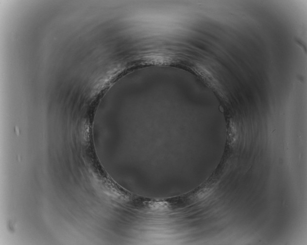 X0000102230355200808011230