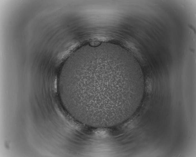 X0000102230358200808011230