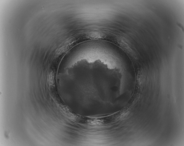 X0000102230359200808011230