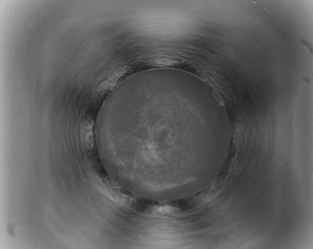 X0000102230360200808011230