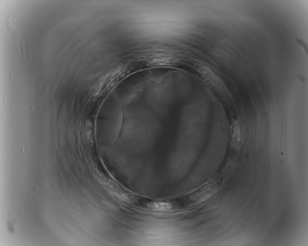 X0000102230361200808011230