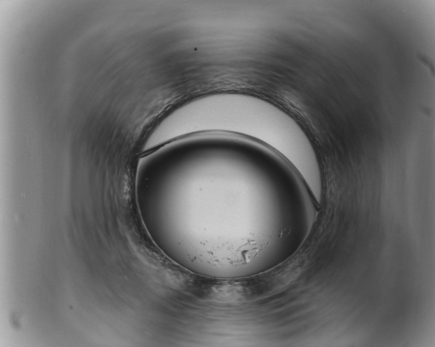 X0000102230362200808011230