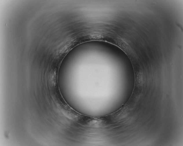 X0000102230364200808011230