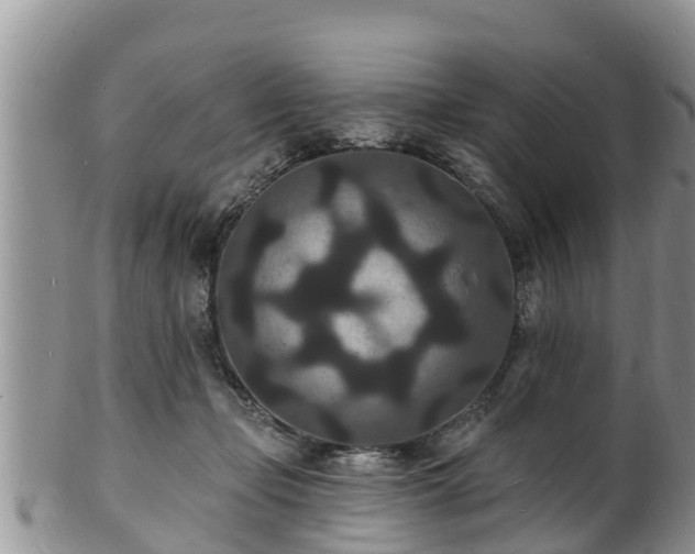 X0000102230365200808011230
