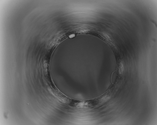 X0000102230366200808011230