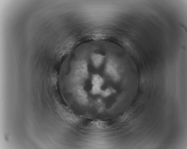 X0000102230367200808011230