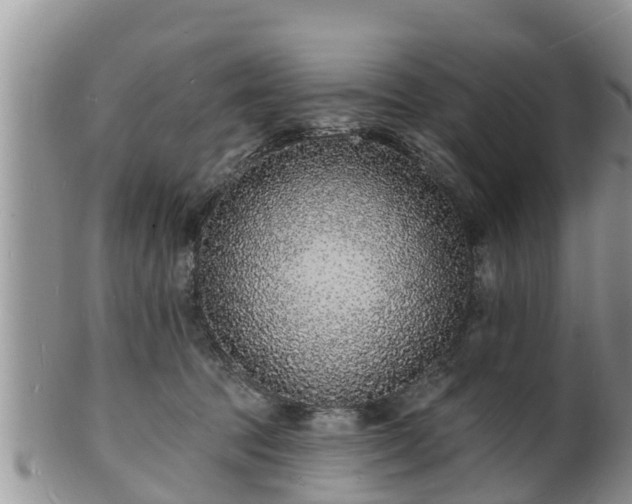 X0000102230369200808011230