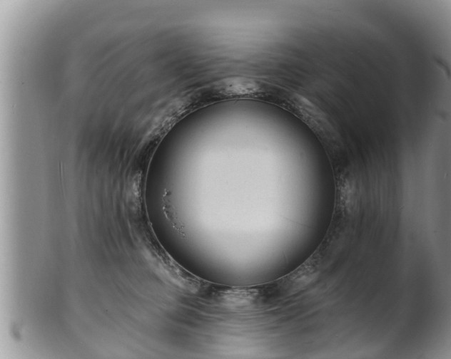 X0000102230373200808011231