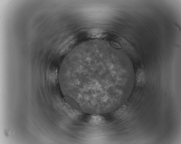X0000102230376200808011231