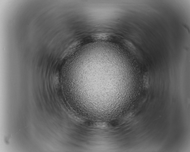 X0000102230377200808011231