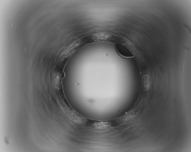 X0000102230378200808011231