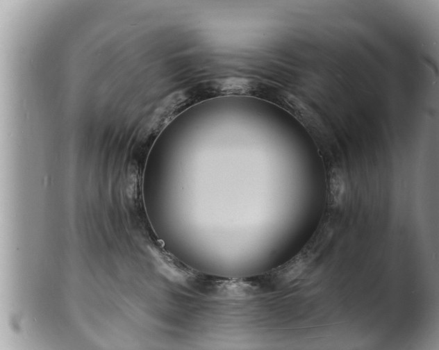 X0000102230379200808011231