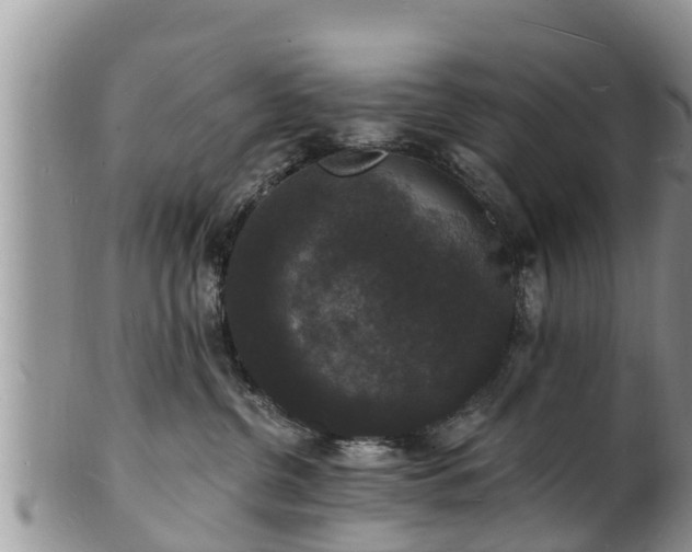 X0000102230380200808011231