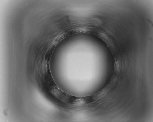 X0000102230381200808011231