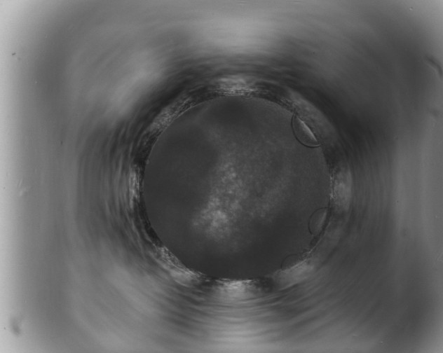 X0000102230382200808011231