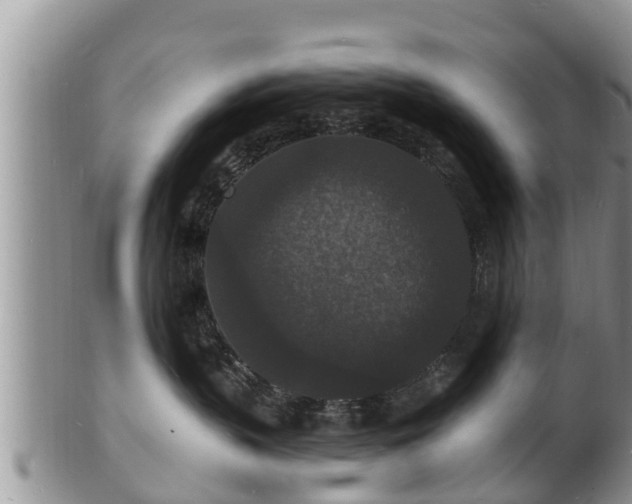X0000102230383200808011231