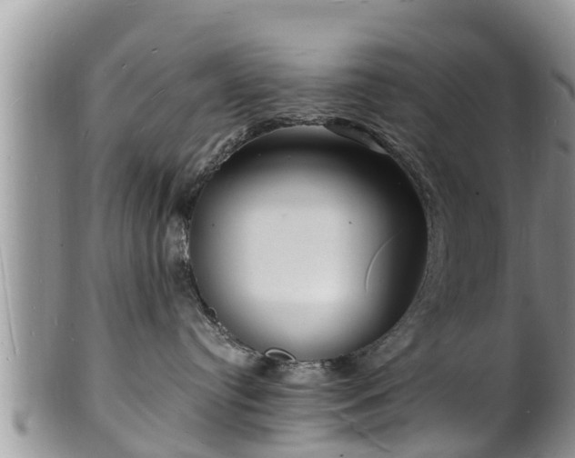 X0000102230384200808011231