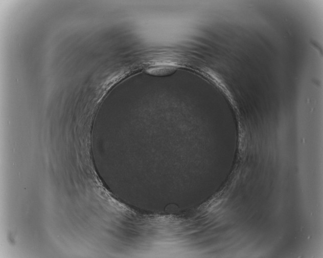 X0000102230385200808011230