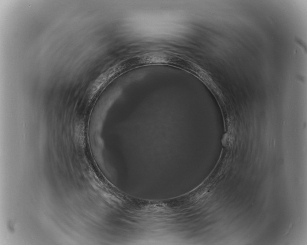 X0000102230386200808011230