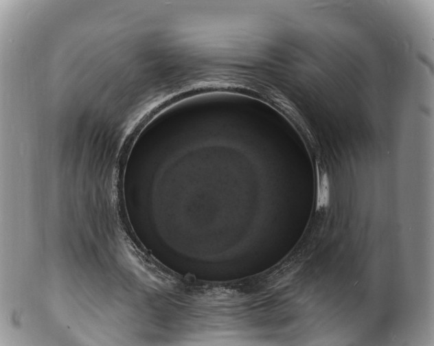 X0000102230387200808011230